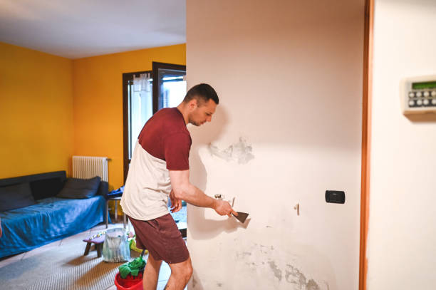 Best Toxic Mold Removal  in Holden Heights, FL